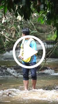 BIB:  <button type="button" onclick="openModal(27493063)" class="btn btn-primary btn-sm float-right" data-toggle="modal" data-target=".modal-high-quality">
                <i class="fa fa-download"></i> Download
                </button>